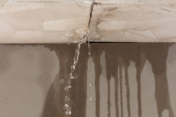 Professional Water Extraction technician working in Luray, VA